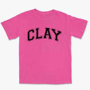 Clay Elementary School Varsity Arch Premium Heavyweight T-shirt