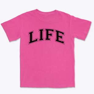 Life Center Christian School Varsity Arch Premium Heavyweight T-shirt