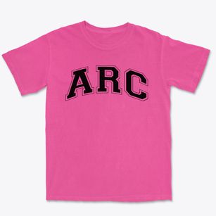 Academy Of Richmond County Varsity Arch Premium Heavyweight T-shirt