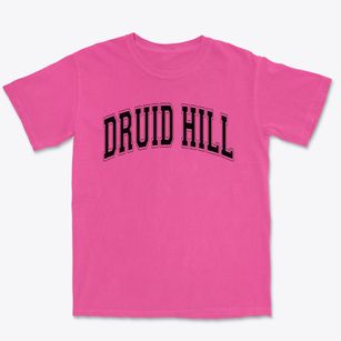 Druid Hill Elementary School Varsity Arch Premium Heavyweight T-shirt