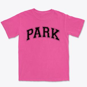 The Park School Of Buffalo Varsity Arch Premium Heavyweight T-shirt