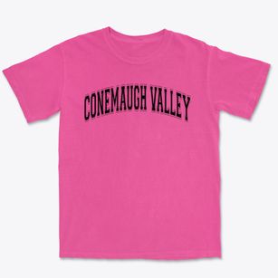 Conemaugh Valley Elementary School Varsity Arch Premium Heavyweight T-shirt