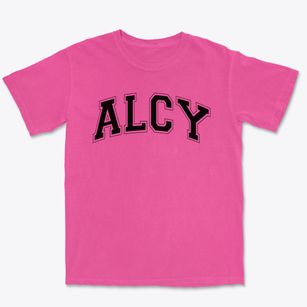 Alcy Sda Junior Academy Varsity Arch Premium Heavyweight T-shirt
