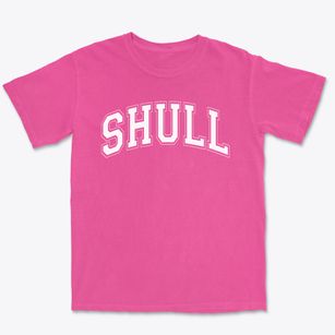 Shull Elementary School Varsity Arch Premium Heavyweight T-shirt