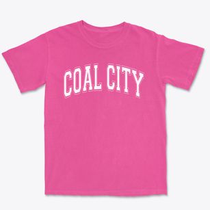 Coal City Elementary School Varsity Arch Premium Heavyweight T-shirt