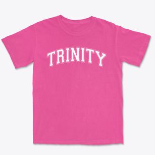 Trinity Lutheran School Varsity Arch Premium Heavyweight T-shirt