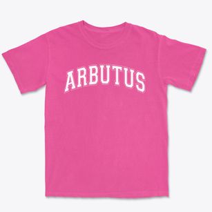 Arbutus Elementary School Varsity Arch Premium Heavyweight T-shirt