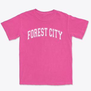 Forest City Elementary School Varsity Arch Premium Heavyweight T-shirt