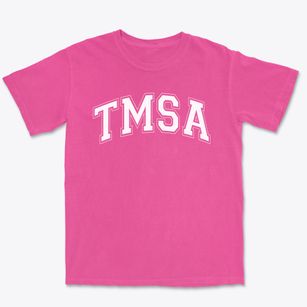 Triad Math And Science Academy Varsity Arch Premium Heavyweight T-shirt