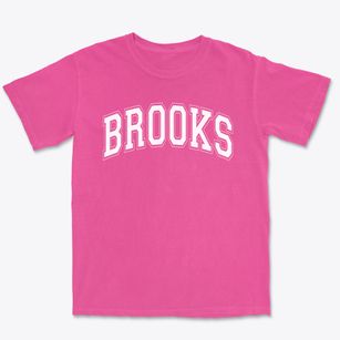 Brooks Academy Of Science & Engineering Varsity Arch Premium Heavyweight T-shirt