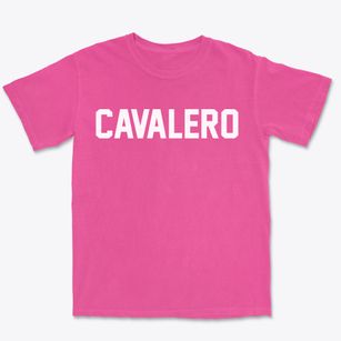 Cavalero Washington Classic Block Premium Heavyweight T-shirt