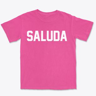 Saluda Virginia Classic Block Premium Heavyweight T-shirt