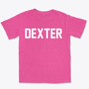 Dexter Wisconsin Classic Block Premium Heavyweight T-shirt