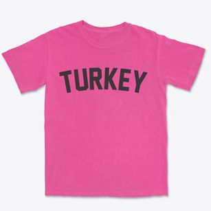 Turkey North Carolina Classic Curve Premium Heavyweight T-shirt
