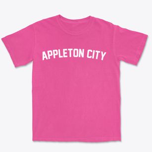 Appleton City Missouri Classic Curve Premium Heavyweight T-shirt