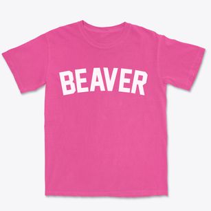 Beaver Ohio Classic Curve Premium Heavyweight T-shirt