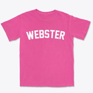 Webster Iowa Classic Curve Premium Heavyweight T-shirt