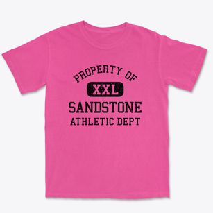 Sandstone Minnesota Athletic Dept Premium Heavyweight T-shirt
