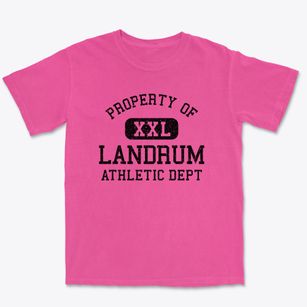 Landrum South Carolina Athletic Dept Premium Heavyweight T-shirt