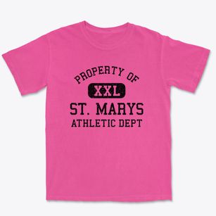 St. Marys Georgia Athletic Dept Premium Heavyweight T-shirt