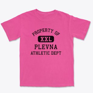 Plevna Missouri Athletic Dept Premium Heavyweight T-shirt