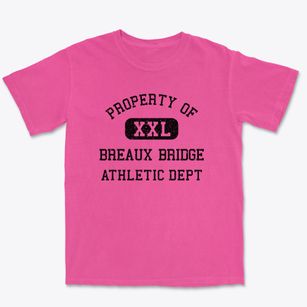 Breaux Bridge Louisiana Athletic Dept Premium Heavyweight T-shirt