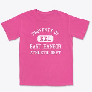 East Bangor Pennsylvania Athletic Dept Premium Heavyweight T-shirt