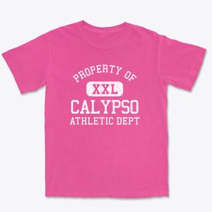 Calypso North Carolina Athletic Dept Premium Heavyweight T-shirt