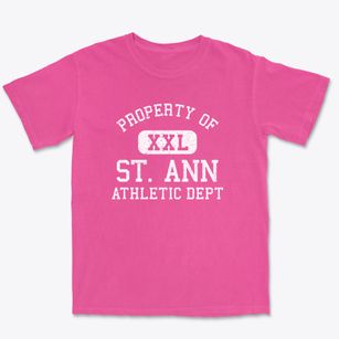 St. Ann Missouri Athletic Dept Premium Heavyweight T-shirt