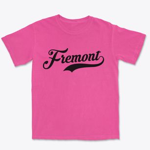 Fremont New Hampshire Vintage Team Premium Heavyweight T-shirt