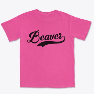 Beaver Pennsylvania Vintage Team Premium Heavyweight T-shirt