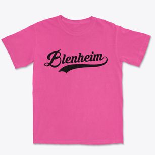 Blenheim New York Vintage Team Premium Heavyweight T-shirt