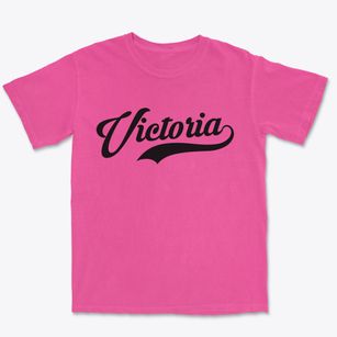 Victoria Illinois Vintage Team Premium Heavyweight T-shirt