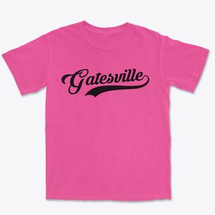 Gatesville North Carolina Vintage Team Premium Heavyweight T-shirt