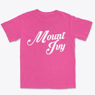 Mount Ivy New York Vintage Team Premium Heavyweight T-shirt