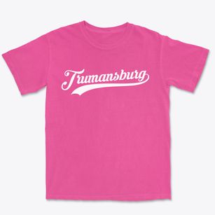 Trumansburg New York Vintage Team Premium Heavyweight T-shirt