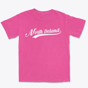 North Deland Florida Vintage Team Premium Heavyweight T-shirt
