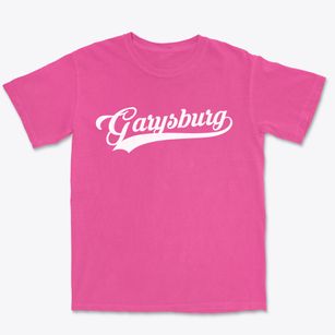 Garysburg North Carolina Vintage Team Premium Heavyweight T-shirt