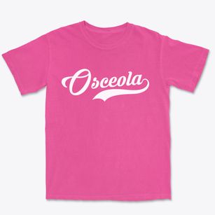 Osceola New York Vintage Team Premium Heavyweight T-shirt