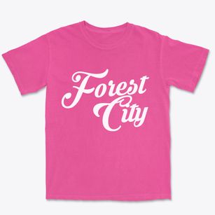 Forest City North Carolina Vintage Team Premium Heavyweight T-shirt