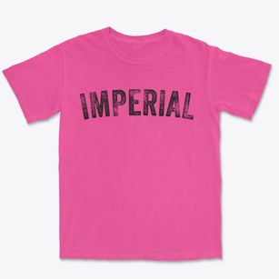 Imperial Pennsylvania Timeless Retro Premium Heavyweight T-shirt