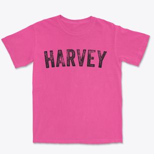 Harvey Iowa Timeless Retro Premium Heavyweight T-shirt