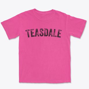Teasdale Utah Timeless Retro Premium Heavyweight T-shirt