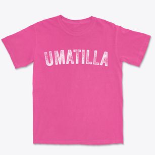 Umatilla Oregon Timeless Retro Premium Heavyweight T-shirt