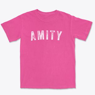 Amity New York Timeless Retro Premium Heavyweight T-shirt
