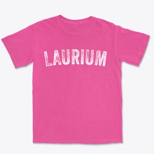 Laurium Michigan Timeless Retro Premium Heavyweight T-shirt