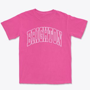 Brighton New York Trendy Block Premium Heavyweight T-shirt