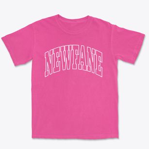 Newfane Vermont Trendy Block Premium Heavyweight T-shirt