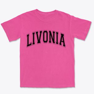 Livonia Michigan Varsity Premium Heavyweight T-shirt