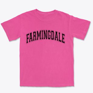 Farmingdale New York Varsity Premium Heavyweight T-shirt